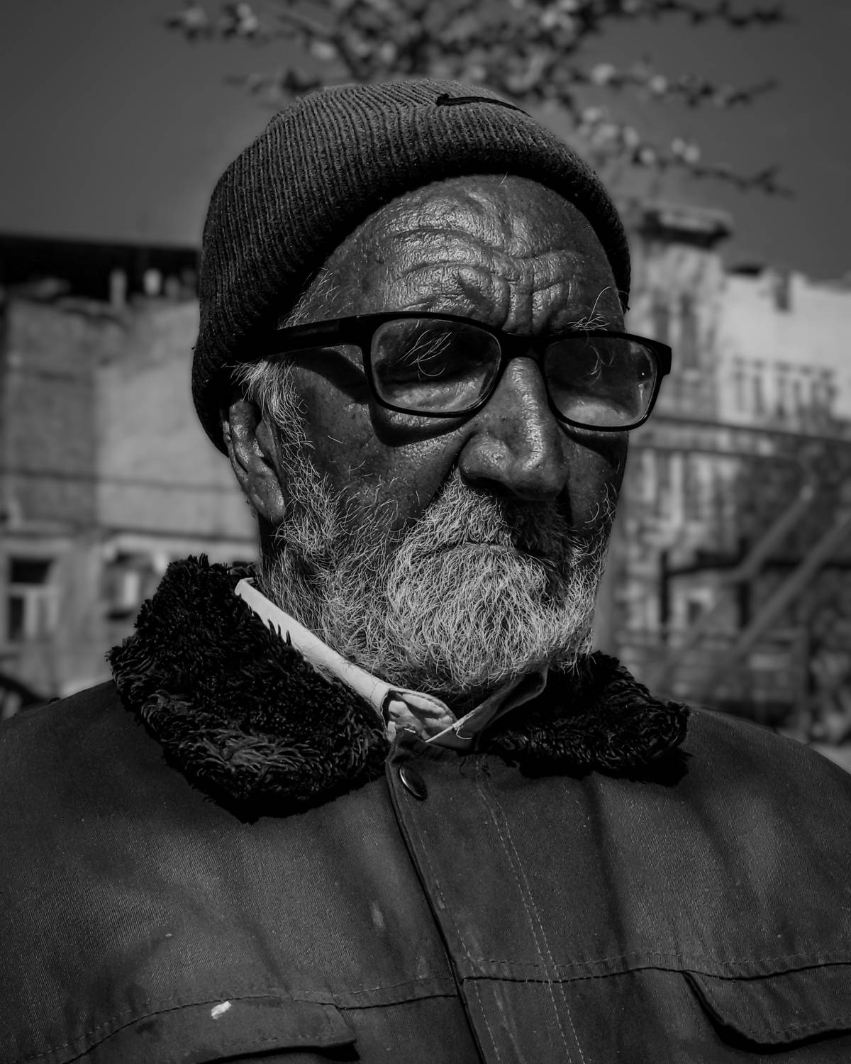 Photo #9508341