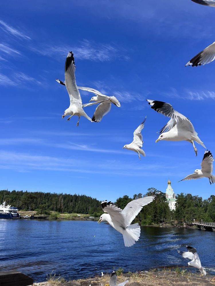 Photograph by Виктория Смирнова