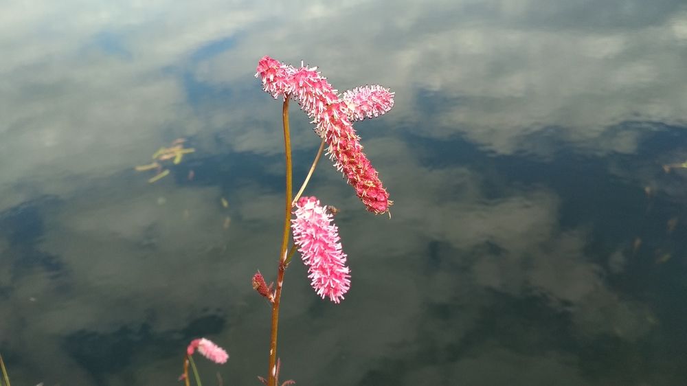 Photograph by Ольга Васильева