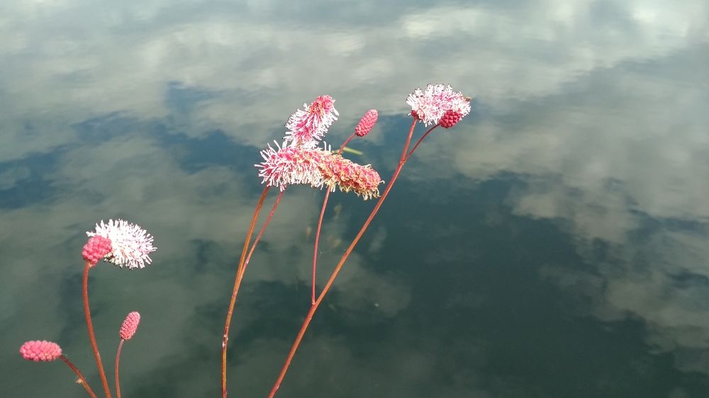 Photograph by Ольга Васильева