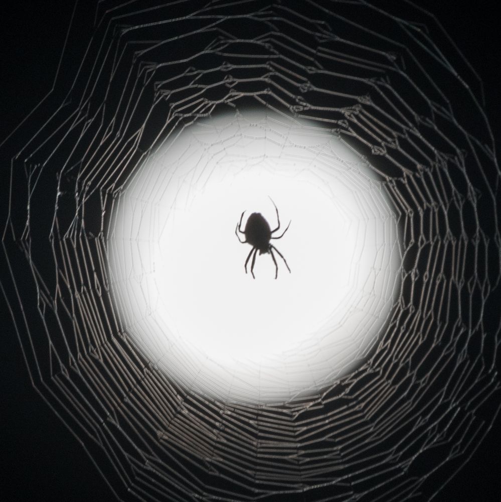 Full moon / полнолуние