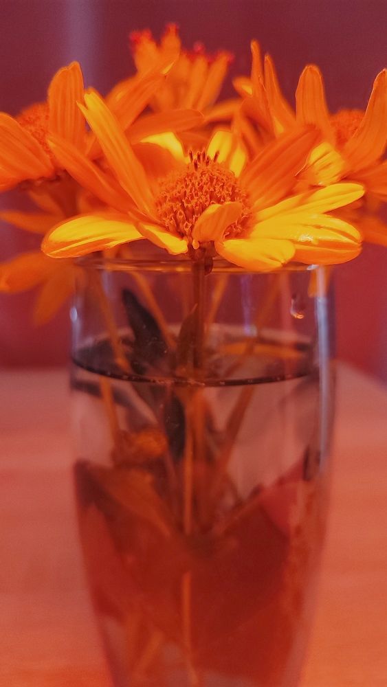 Photograph by Елена Леонович