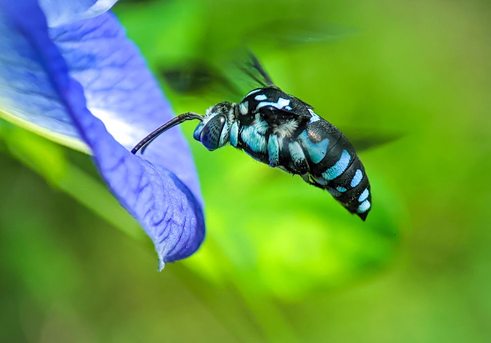 Photograph by Sumitava Chowdhury