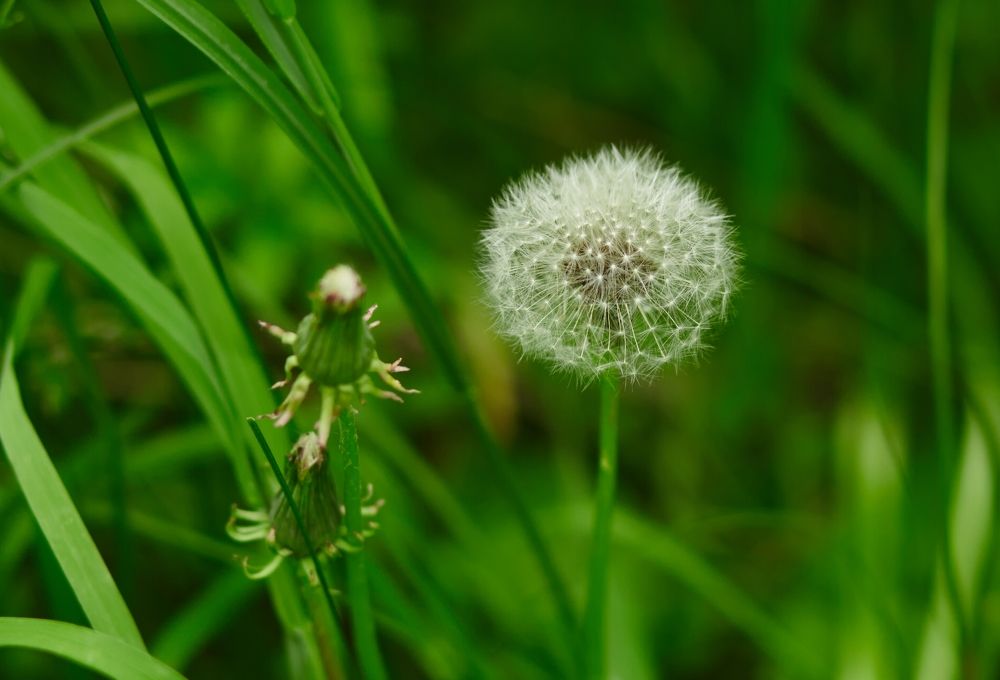 Photograph by Светлана Сафонова