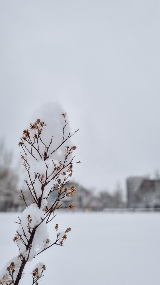 Photograph by Анна Балова