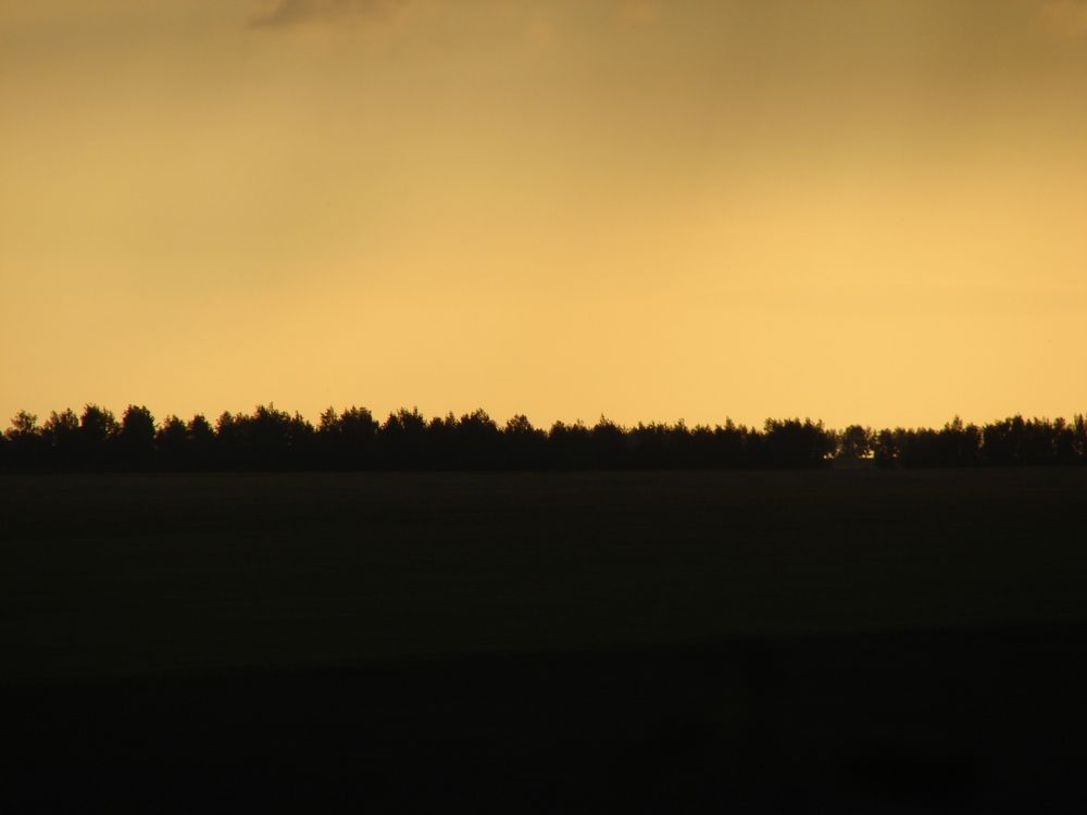 Фотография автора Оксана Сырчина