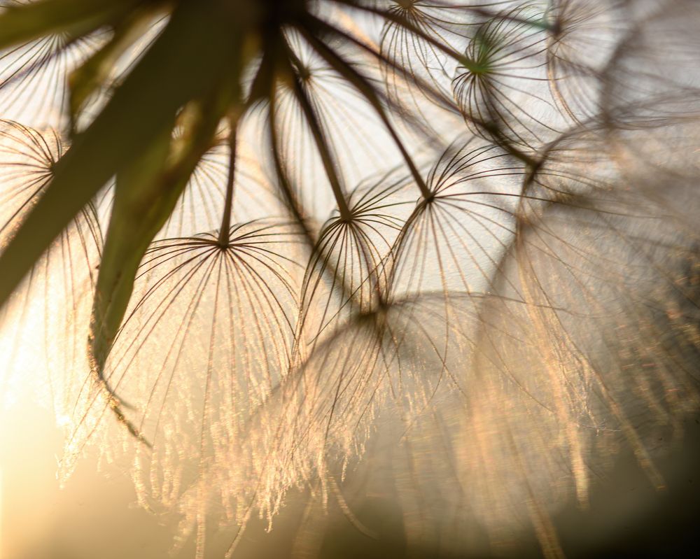 Фотография автора Владимир Зубков