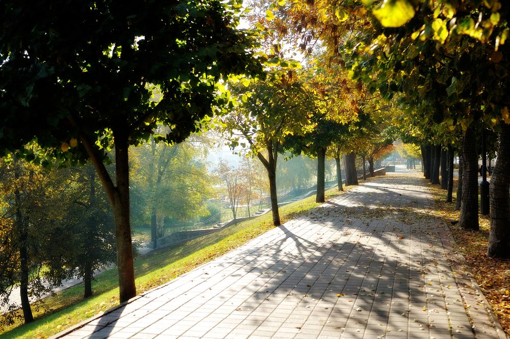 Photograph by Владимир Щеголев