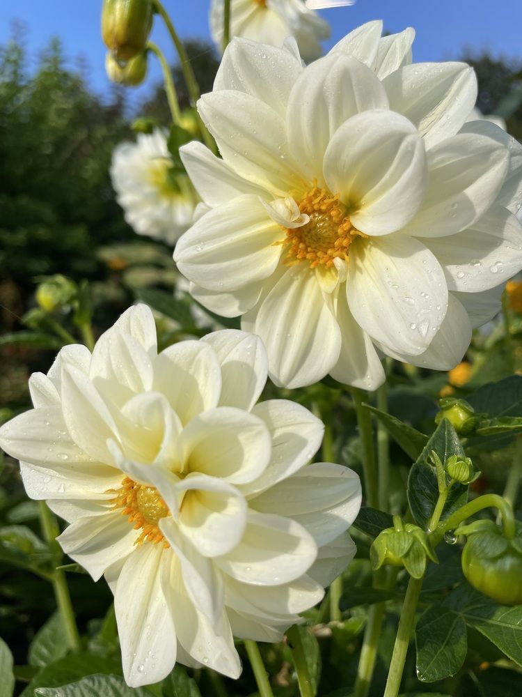 Photograph by Лия Маликова