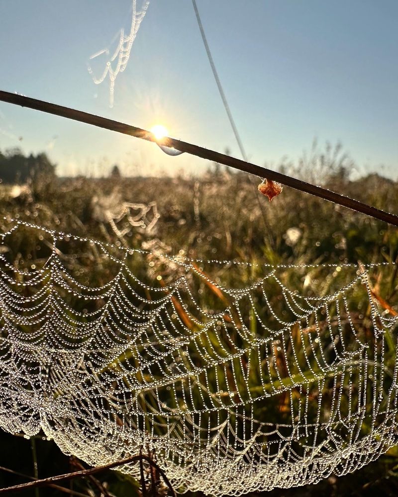 Photograph by Лариса Акинчиц