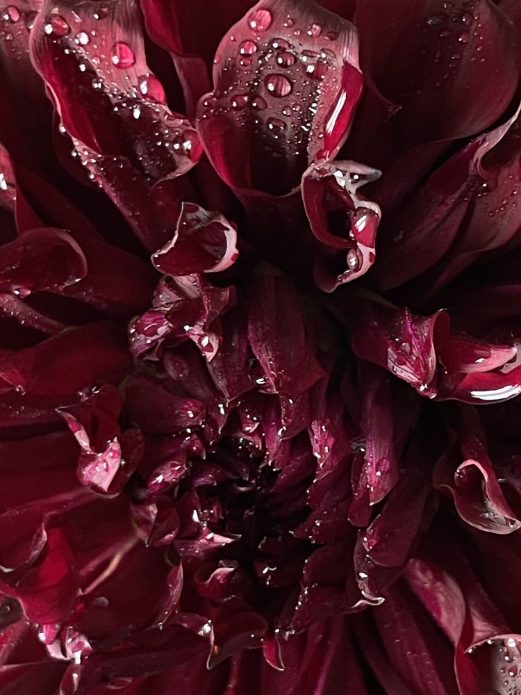 Фотография автора Марина