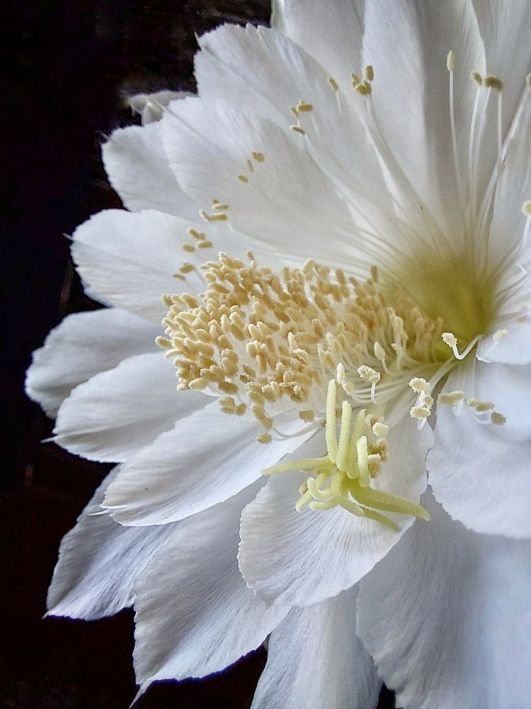 Photograph by Эмма Рахматуллина