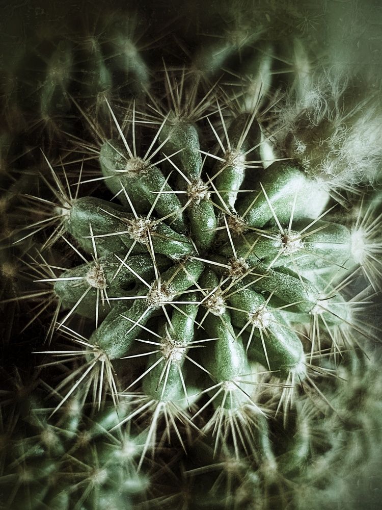 Photograph by Эмма Рахматуллина