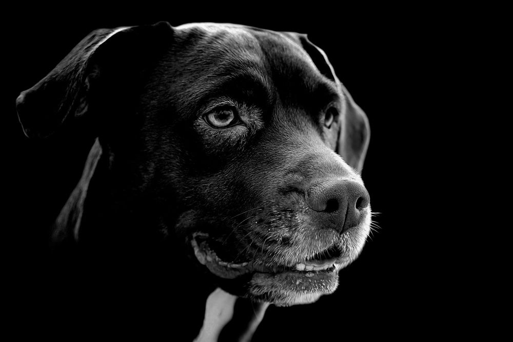 Photograph by Raed Victor Saad