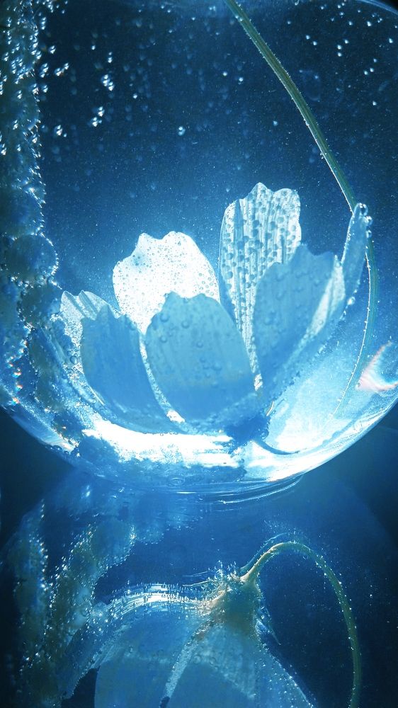 Photograph by Ольга Рыкова