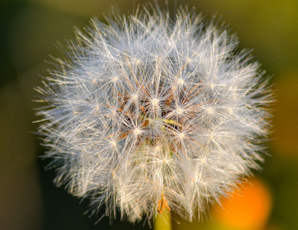 Photograph by Bachir Rabouh