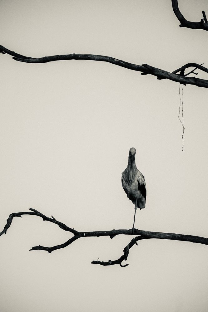 Photograph by Алексей Большаков