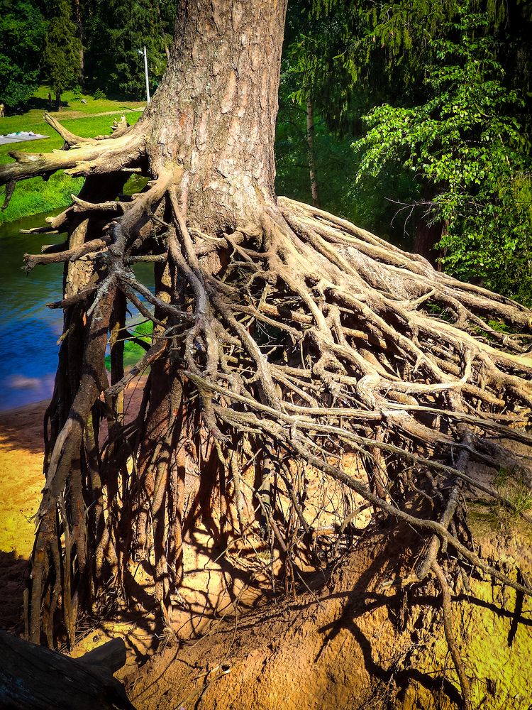 Photograph by Andrey Purtov