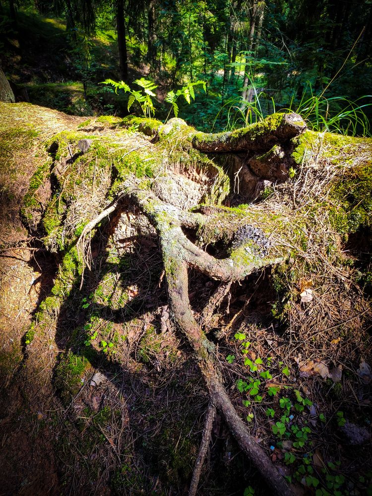 Photograph by Andrey Purtov