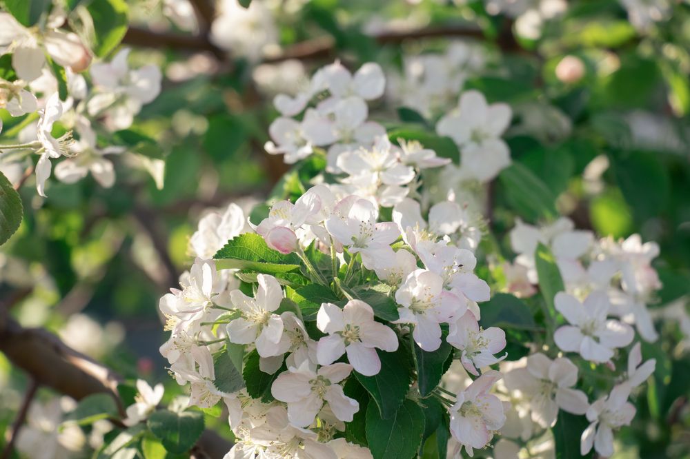 Photograph by Юлия Гринвальд