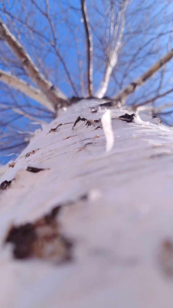 Photograph by Ирина Алпацкая