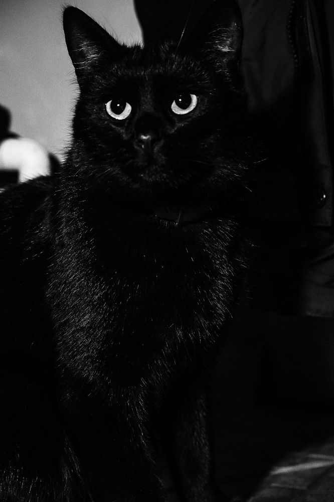 Photograph by Алексей Большаков