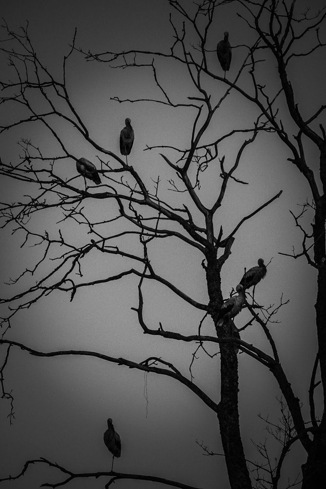 Photograph by Алексей Большаков