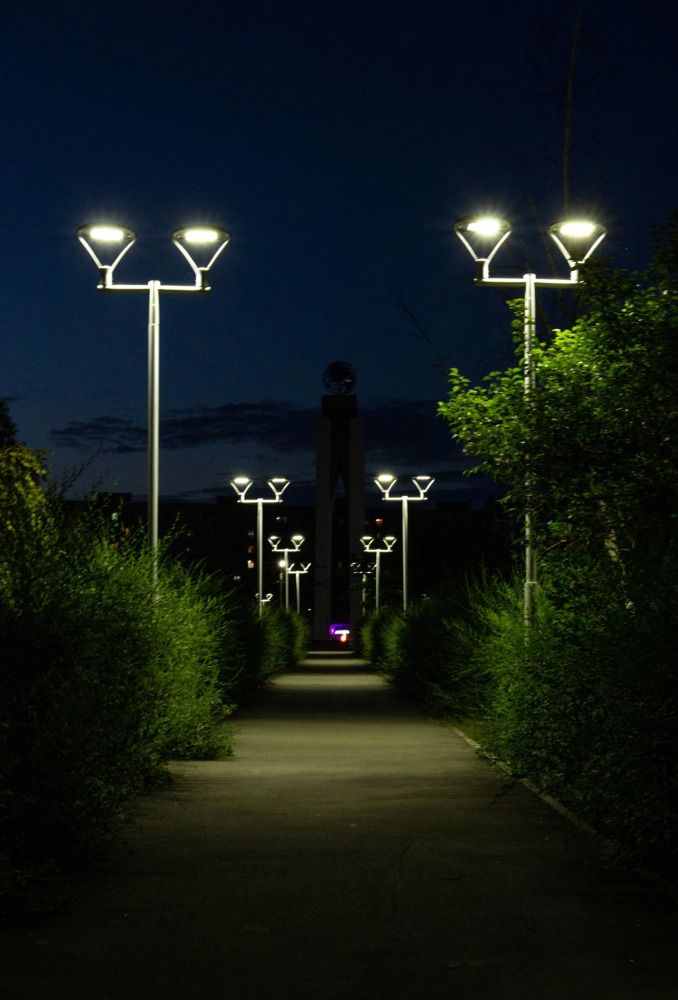 Photograph by Елена