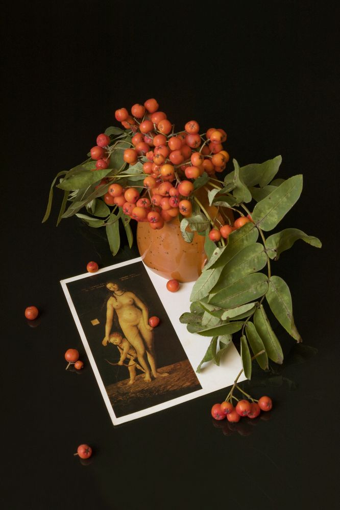 Photograph by Елена Коврижных