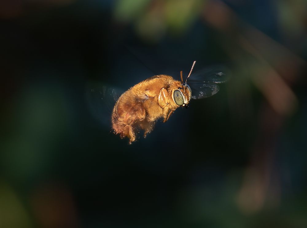 Photograph by Yainyt Alcazar Delgado