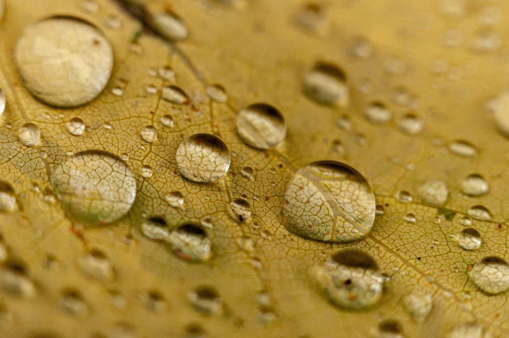 Photograph by Вадим Басов