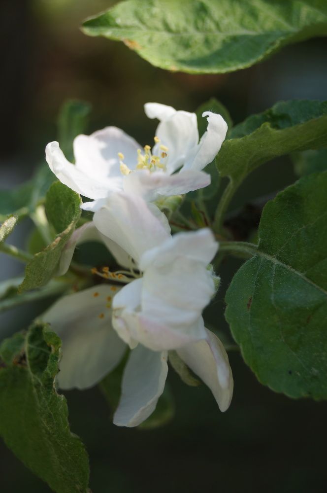 Photograph by Георгий Галкин