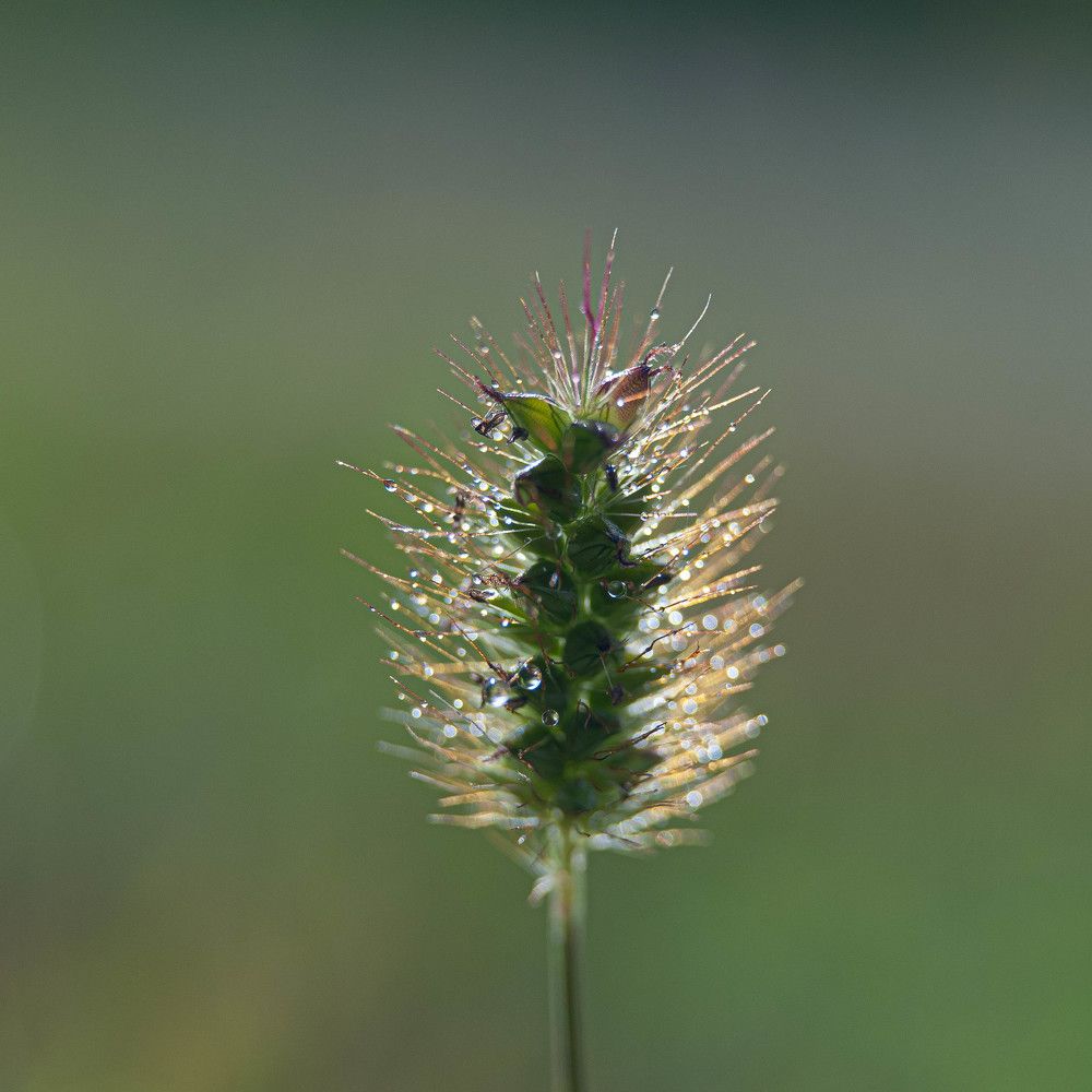 Photograph by Вадим Басов