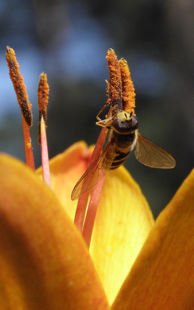 Photograph by Александр Попов