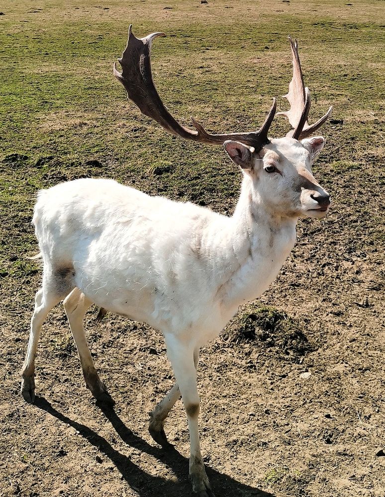 Photograph by Елизавета Лай