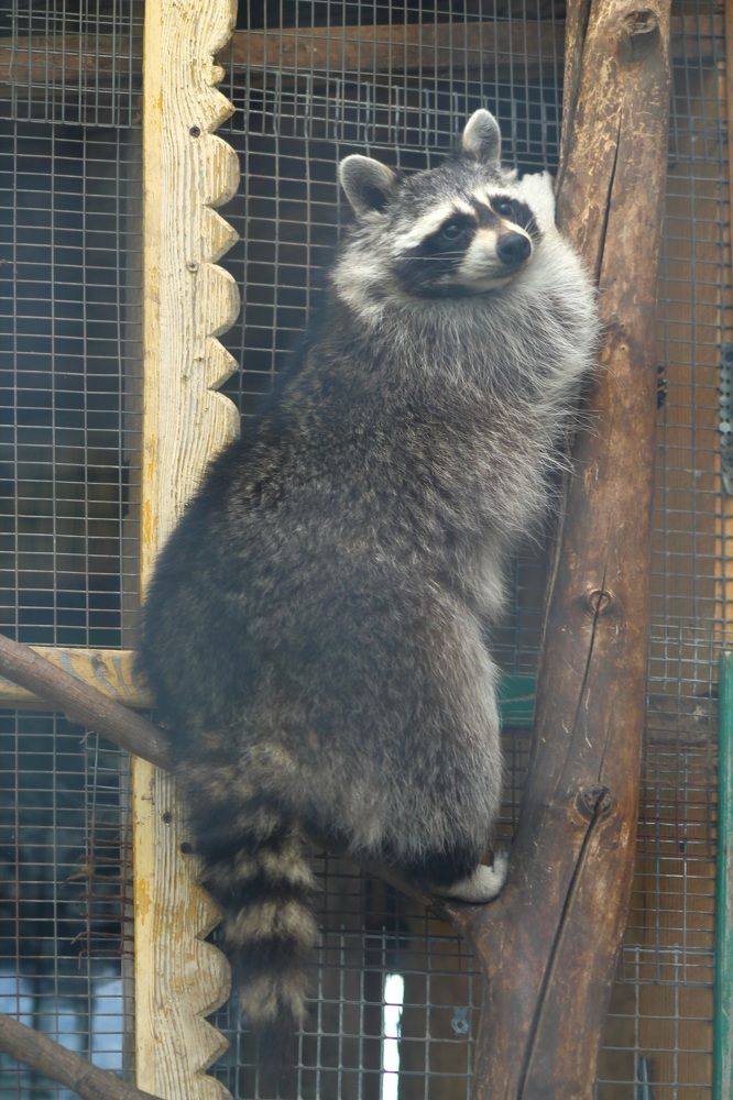 Photograph by Елена Чурынина