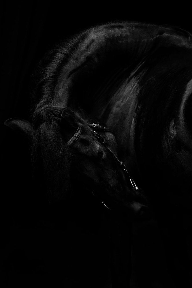 Photograph by Похабова Любовь