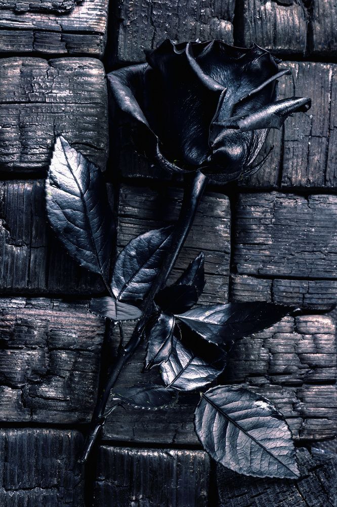 Photograph by Дмитрий Кулемин