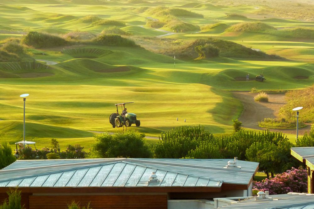 Раннее утро на полях для гольфа