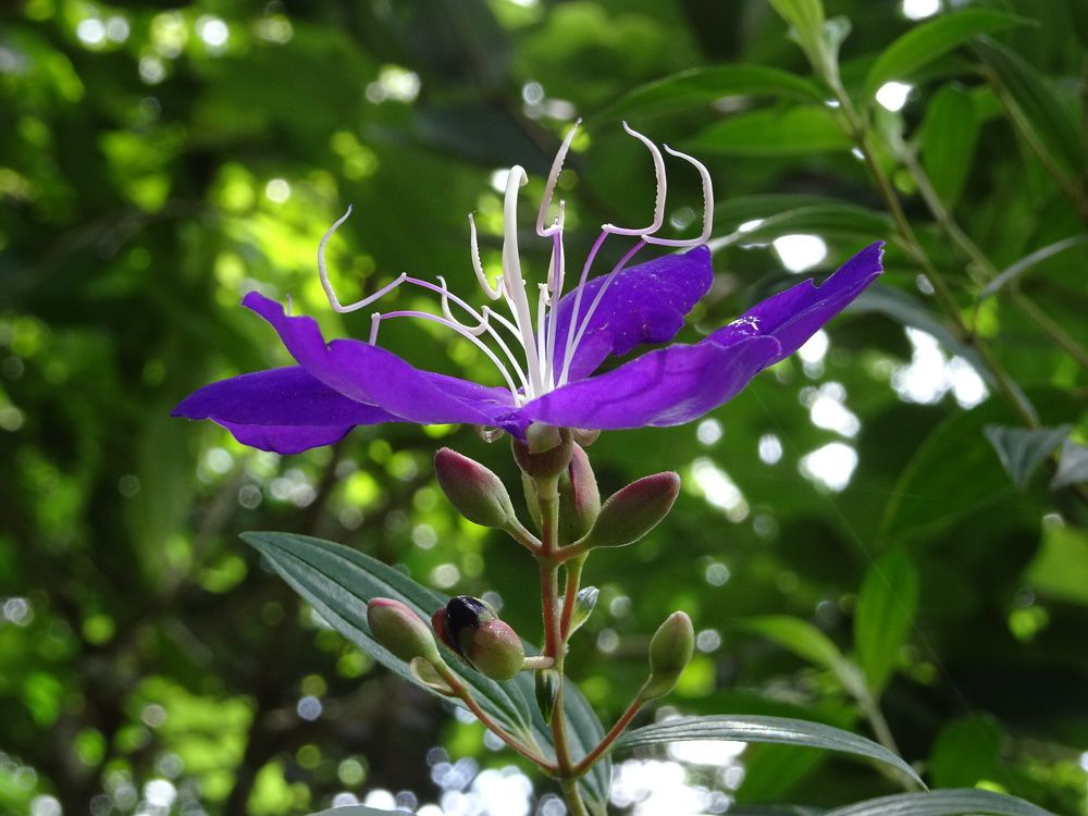 Photograph by Мила Милая