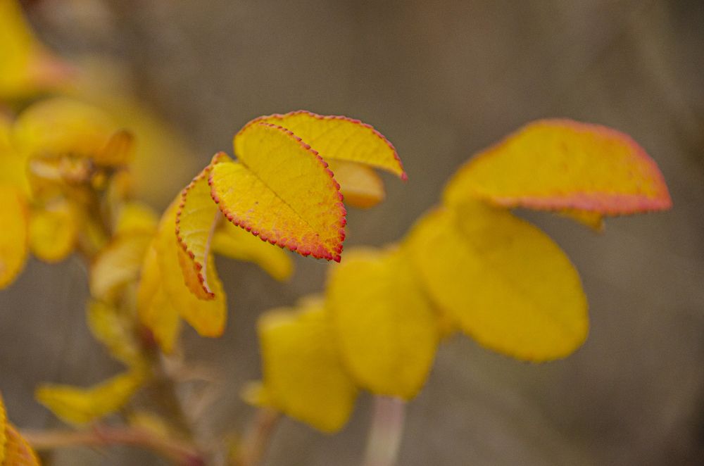 Photograph by Надежда Михайлина