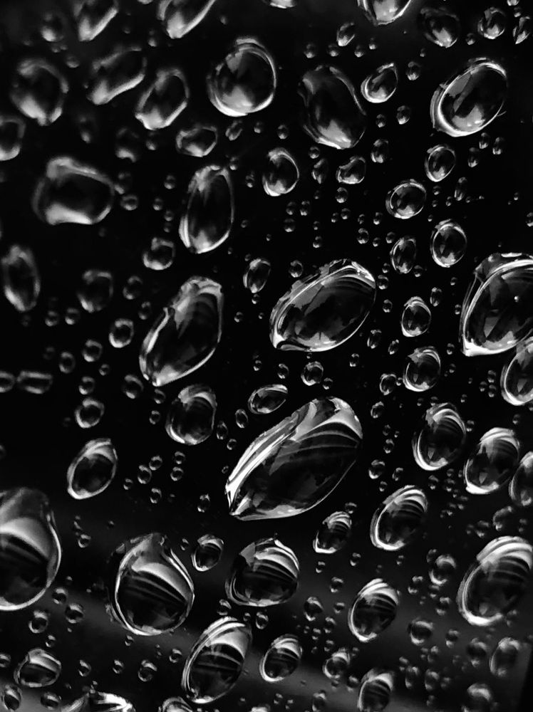 Photograph by Halina Mitsevich