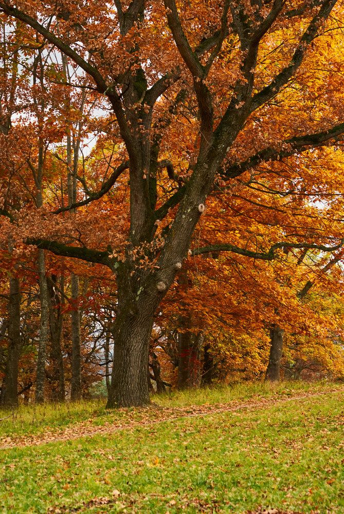 Photograph by Руфат Лажанский