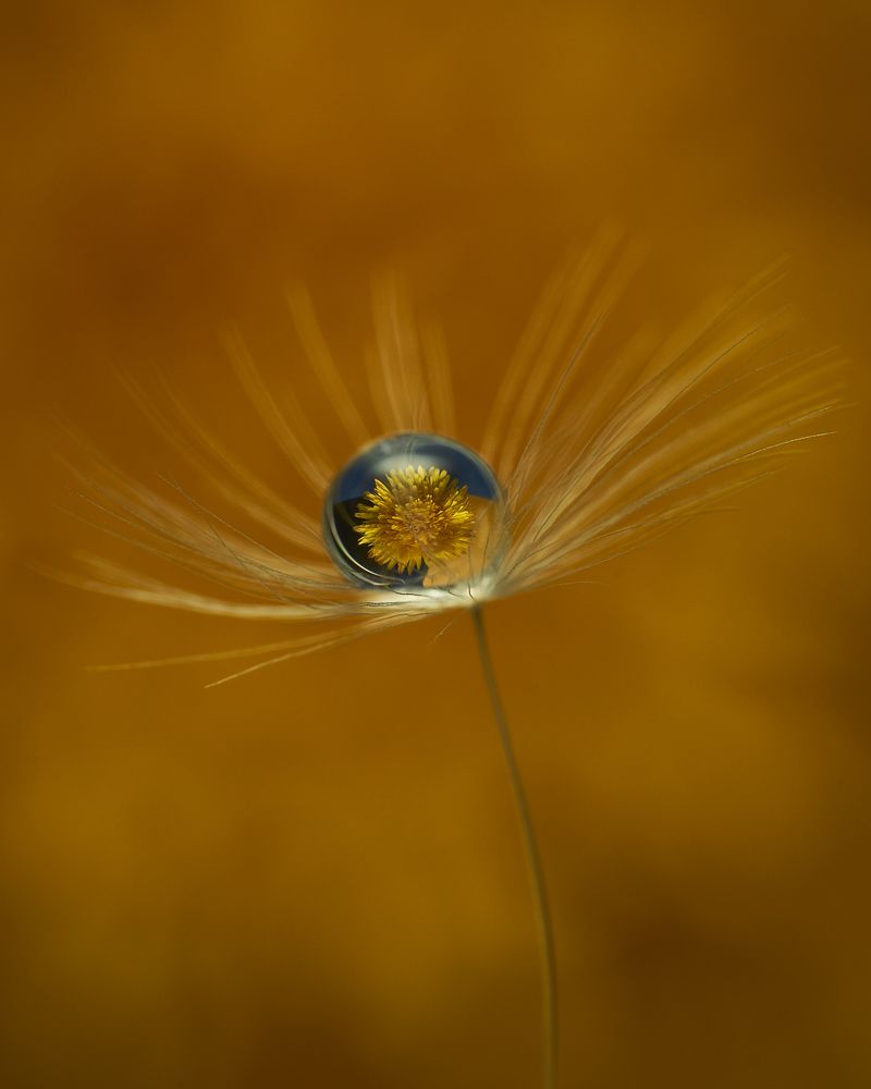 Photograph by Руфат Лажанский