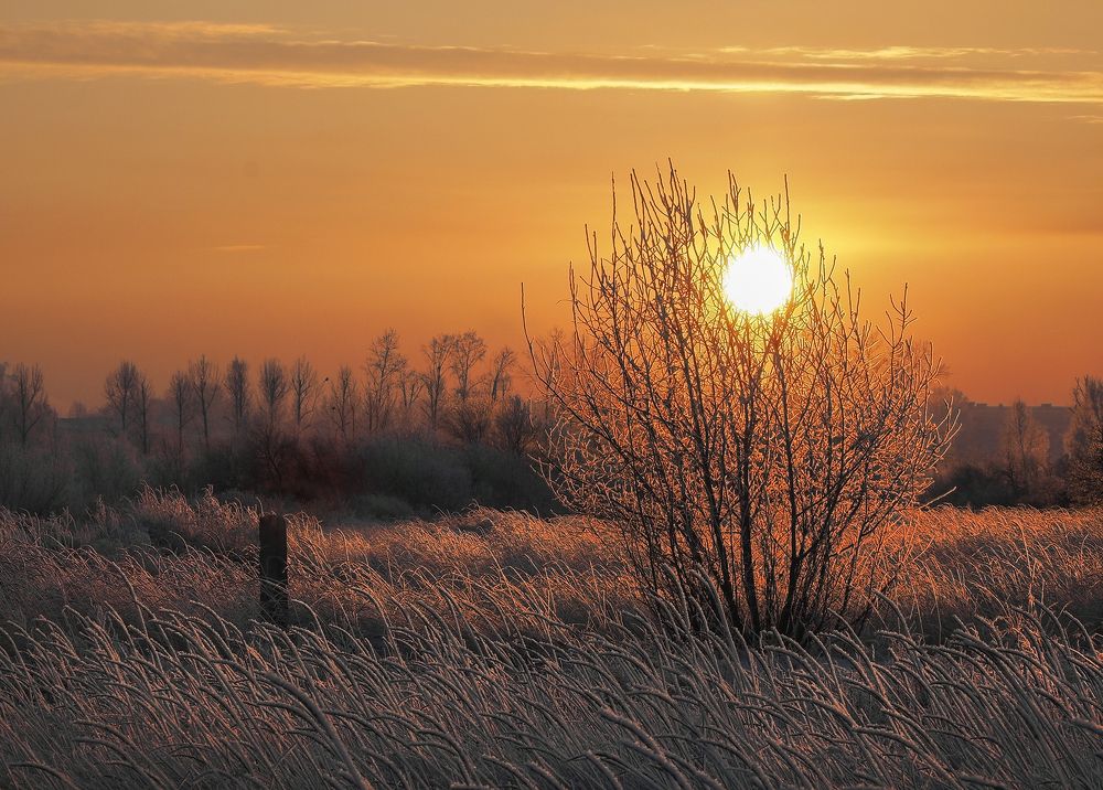 Photograph by Александр Попов