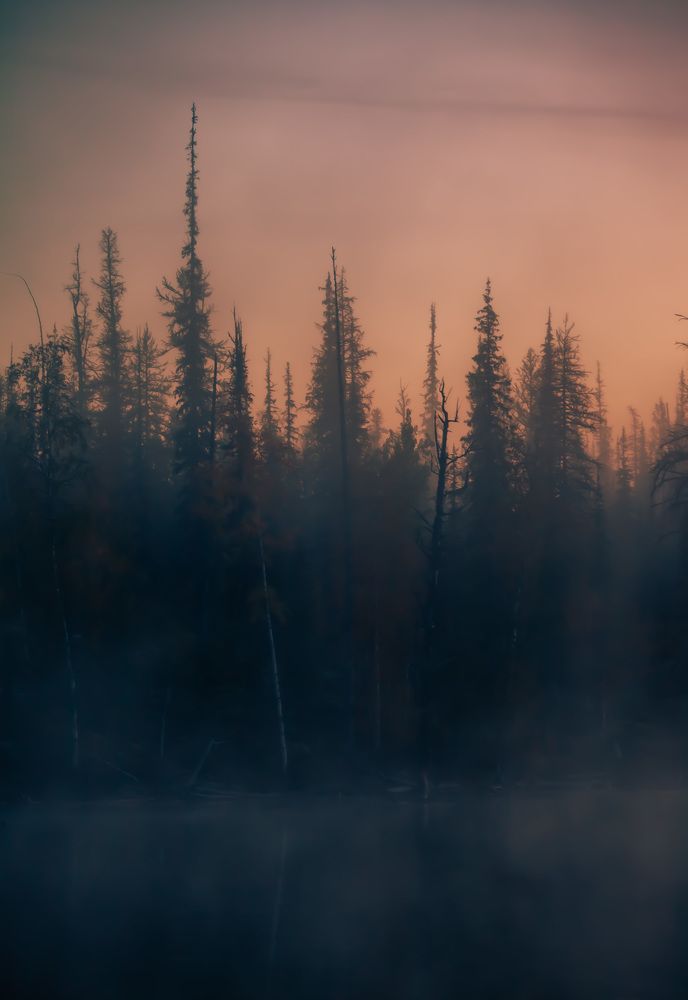 Photograph by Ксения Никифорова