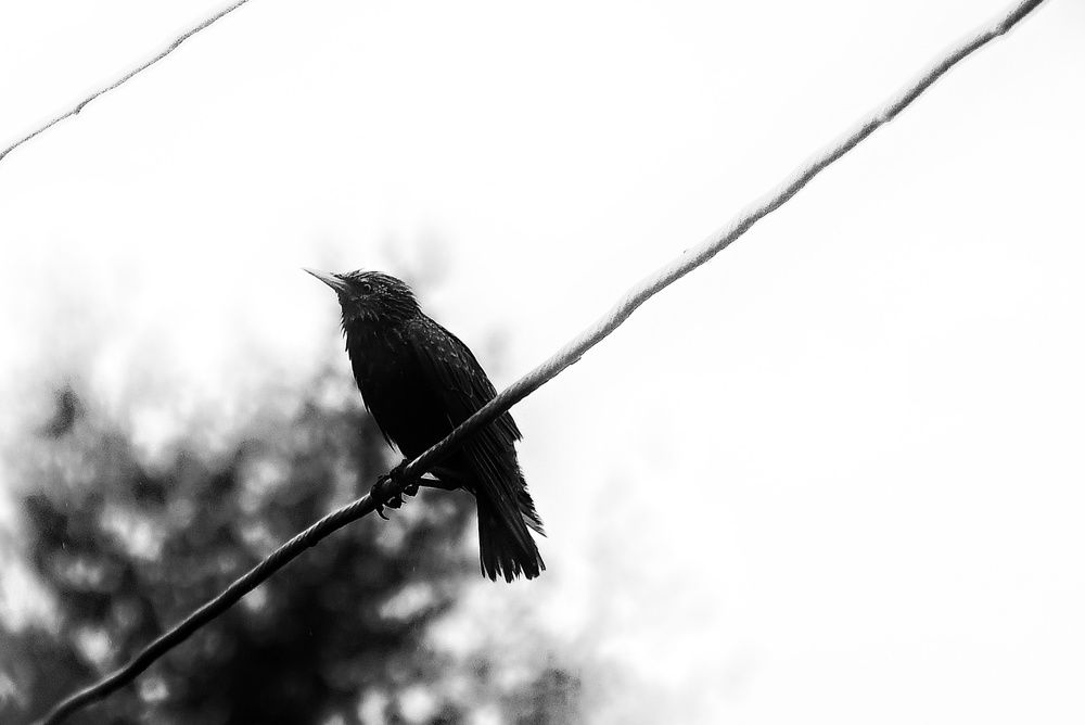 Photograph by Аряева Анна