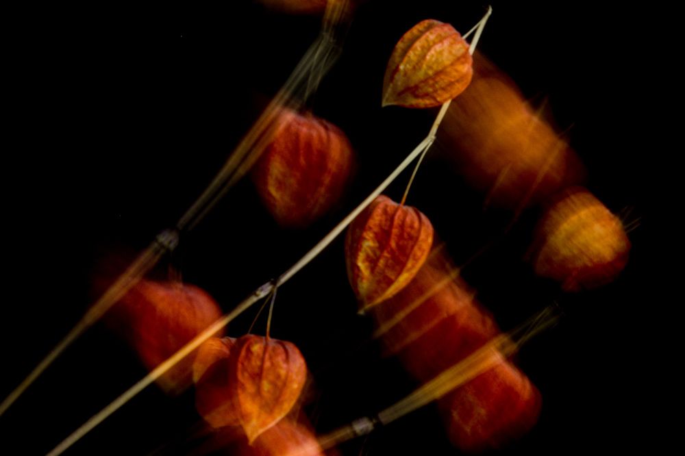 Photograph by Екатерина Чижевская