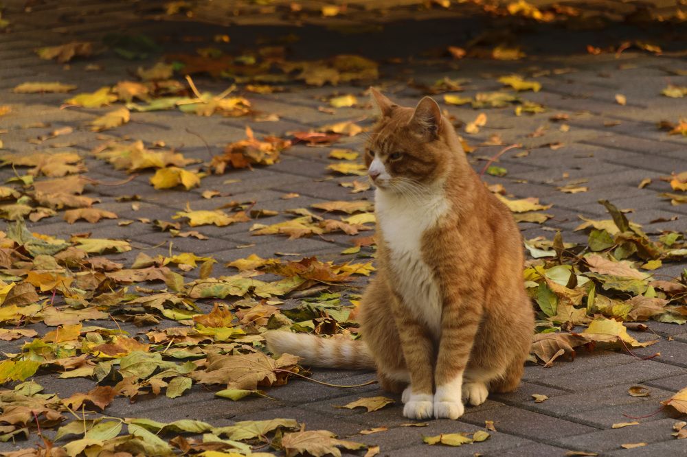 Photograph by Лилия Кондратьева