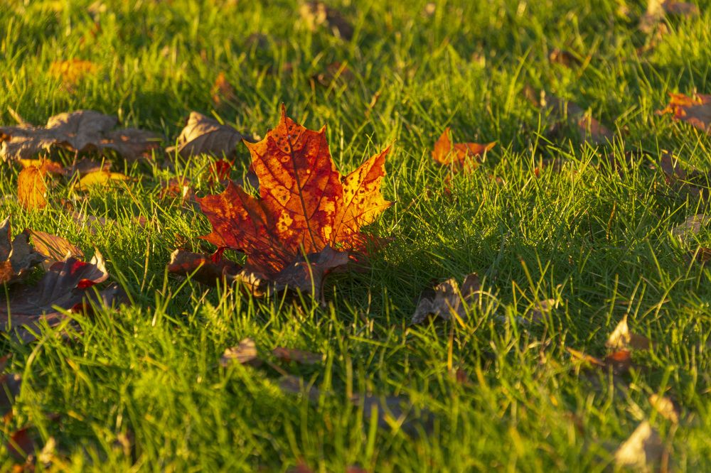 Photograph by Лилия Кондратьева